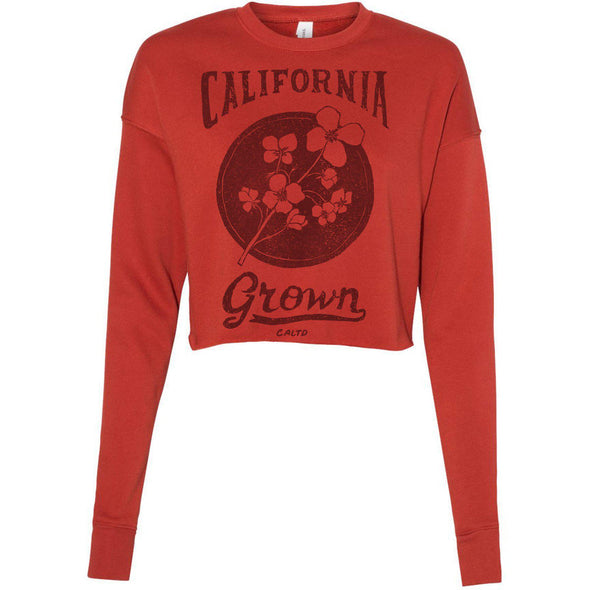 California Grown Circle Cropped Sweater-CA LIMITED