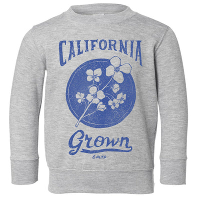 California Grown Circle Toddlers Sweater-CA LIMITED