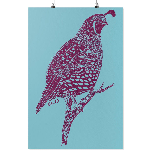 Quail Blue Poster-CA LIMITED